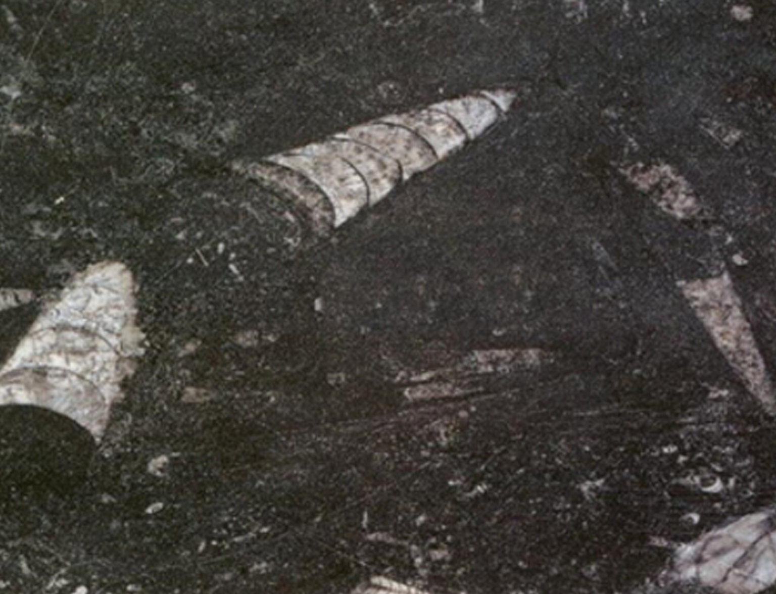 凯撒黑-金饶山矿业