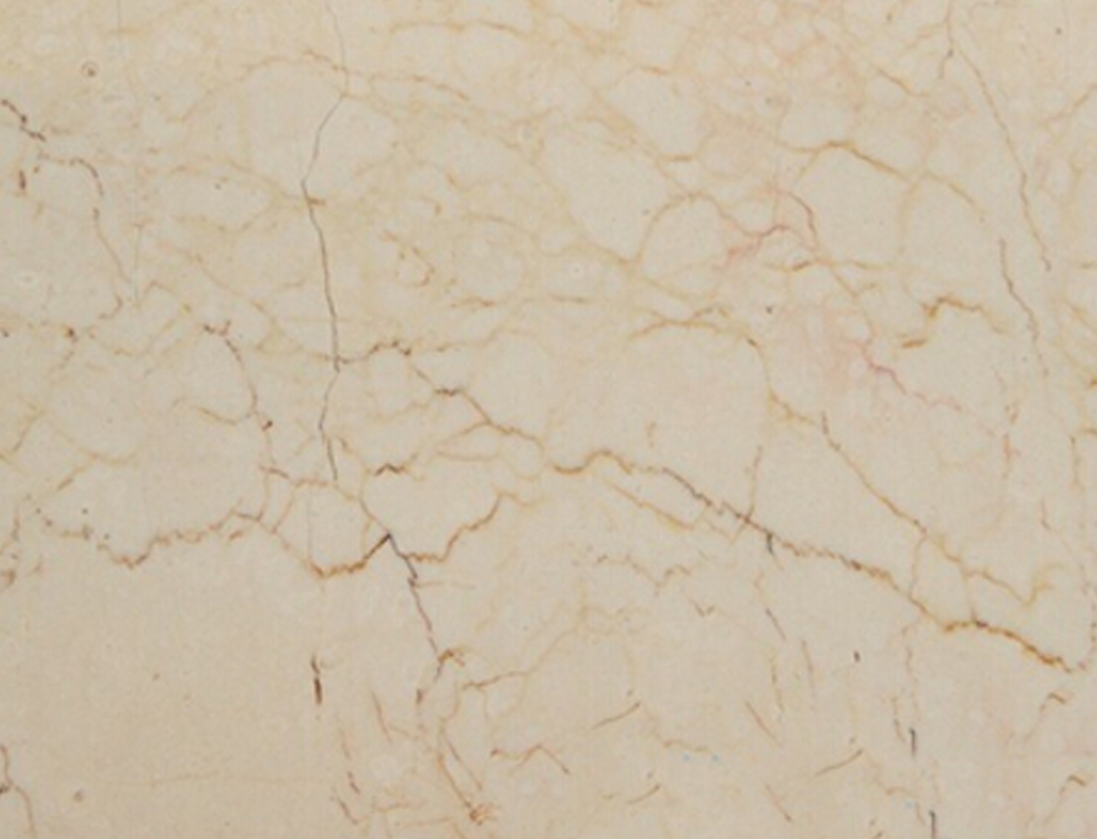 玫瑰世纪-厦门远硕进出口有限公司