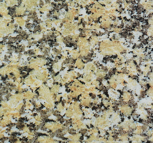 黄玫瑰-广东太平洋矿业集团