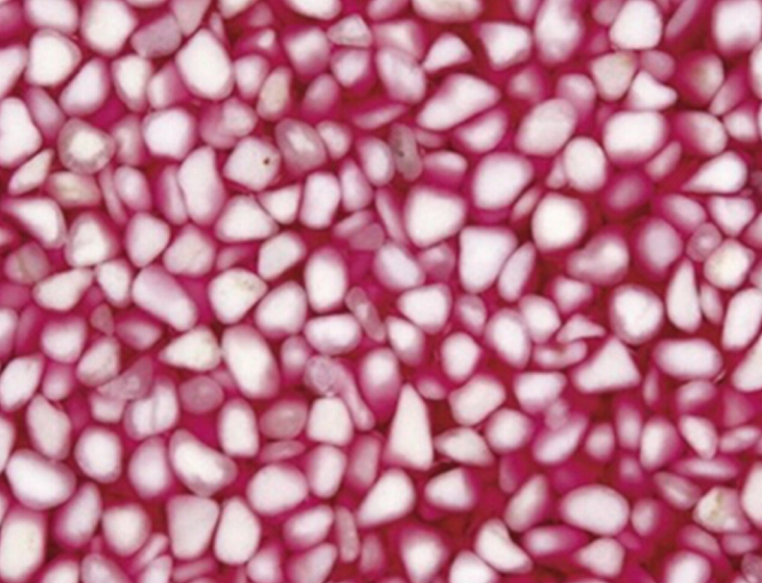 紫宝石-广云丰石材厂