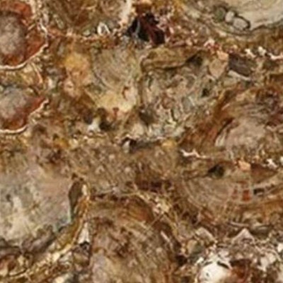 木化石1半宝石-木化石1半宝石石材-木化石1半宝石石材厂家-石材助手